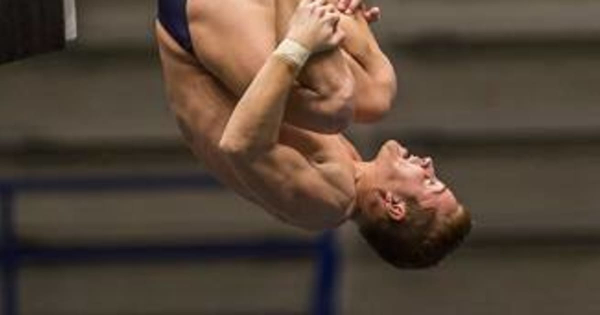 USA Diving Diving 101